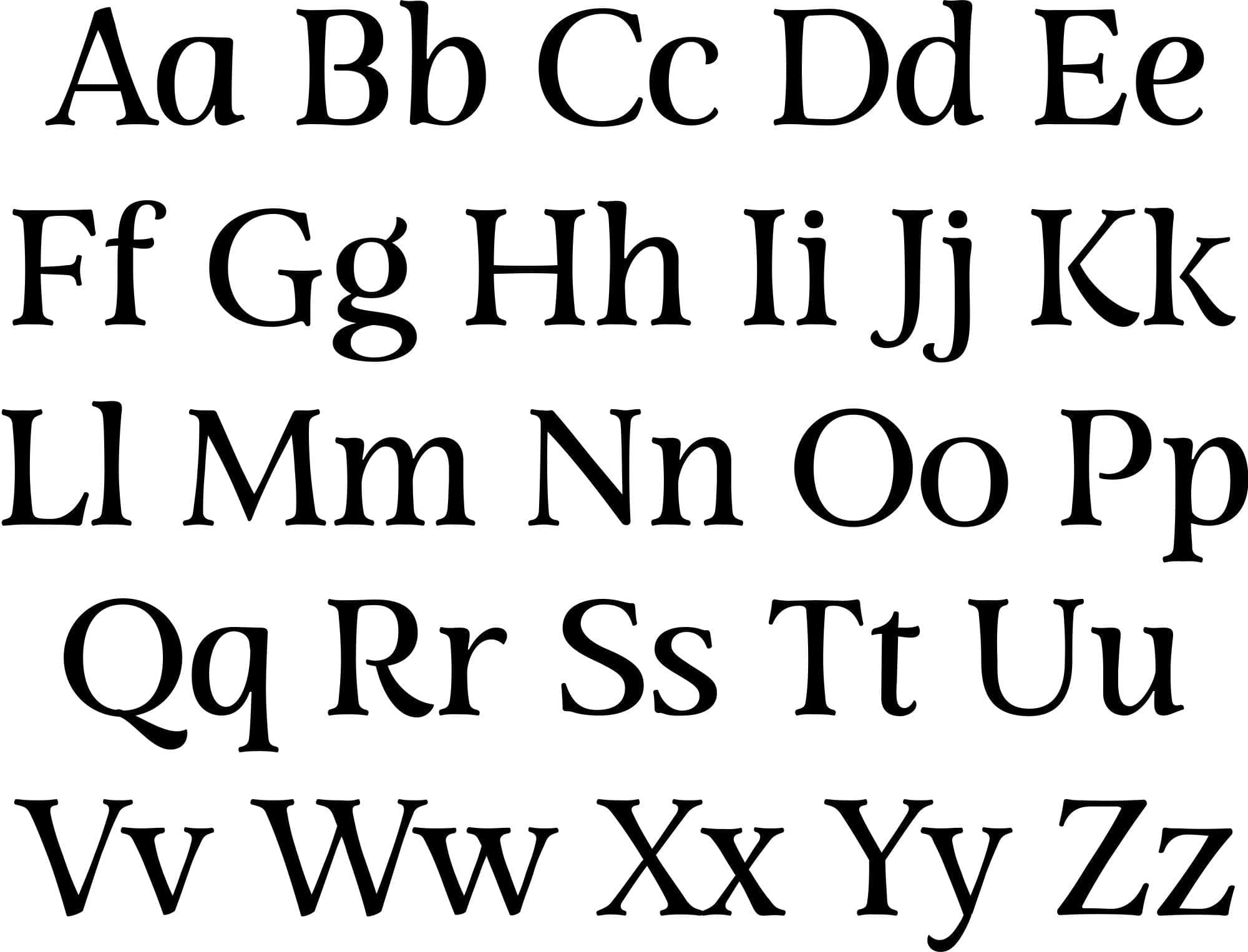 font letters used for the name. shows uppercase and lowercase letters